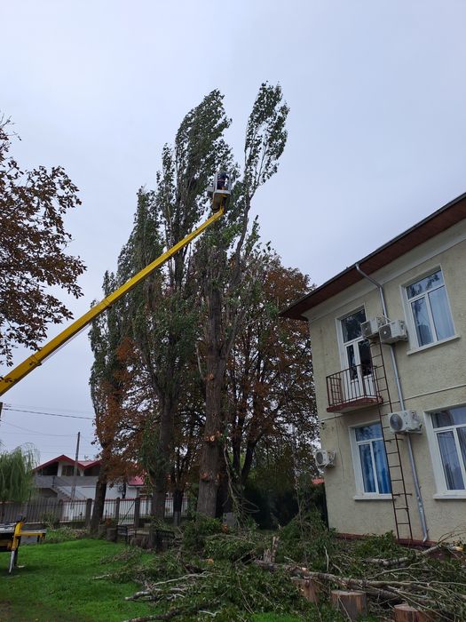 Toaletare Arbori/Alpinism Utilitar Rapid 24/7.