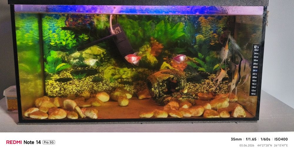 Vând acvariu de 60 L