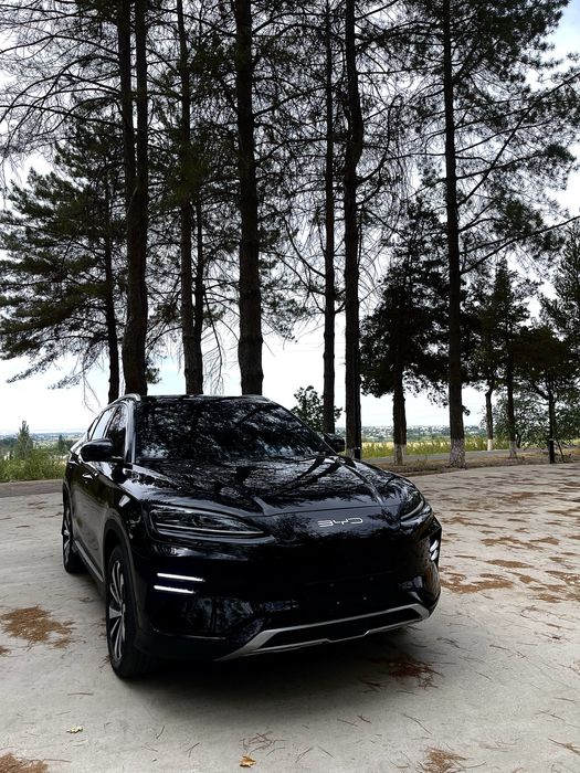 Водитель в горы, туры по горам, туры по городу и трансфер BYD Champion