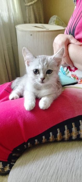 Девочка ищет доброго человека!