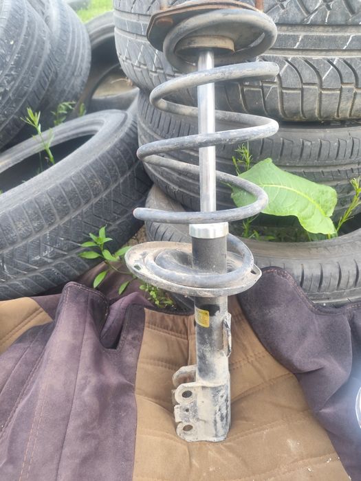 родина амартизатор