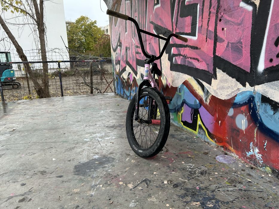 bmx roz custumizat