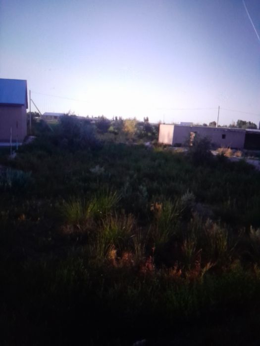 12 сутих ер участка сотида