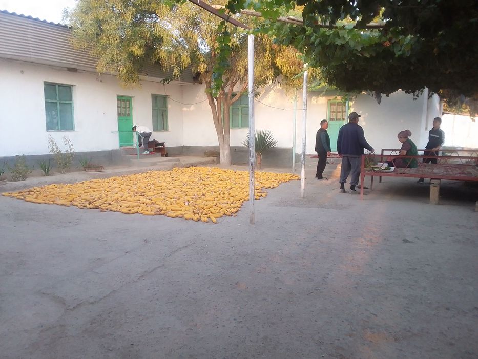 Үй сотилади Бука туманида,Чавлисой МФИ ,Замондош кучаси 30