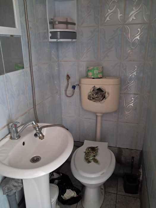 Uscătorie 10 m utili