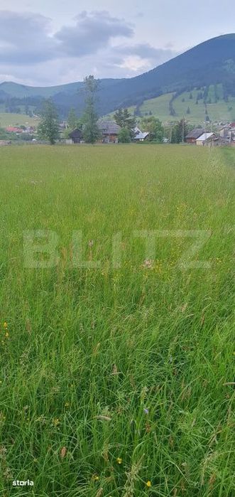 Casa batraneasca cu o suprafata generoasa de teren: 5747 mp intravilan