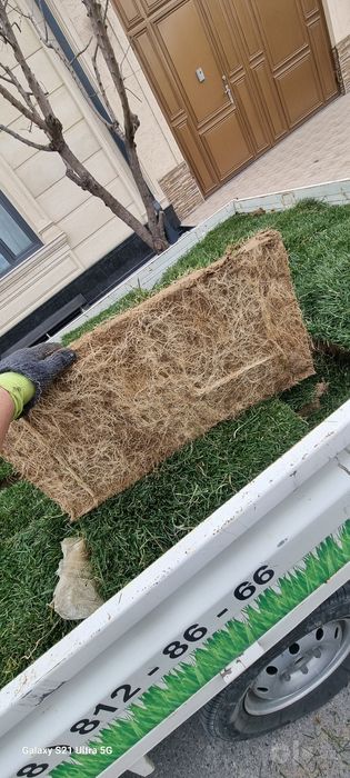 газон, ландшафт, палифный система ва арчаларга хар хил формалар бериш