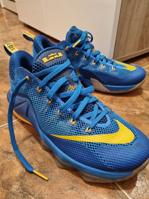 Nike LeBron 12 Low Entourage 2015