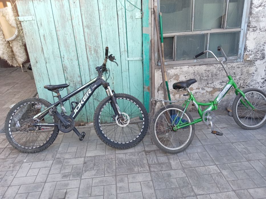 Продам 2 велика состояние норм