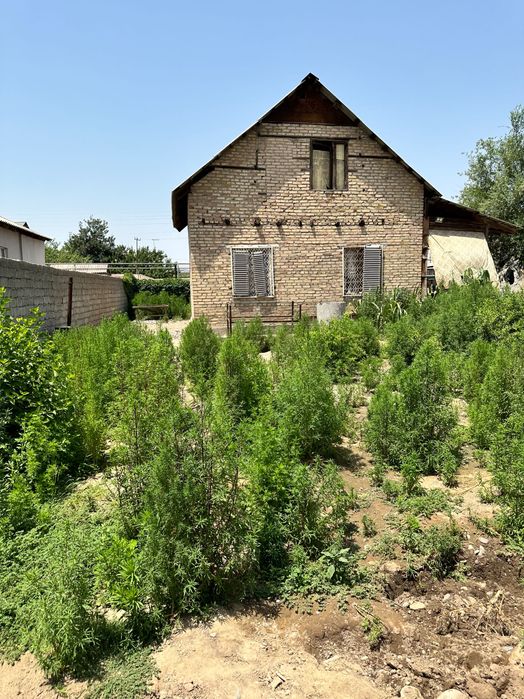 Продается своя дача с бассейном Янгихает