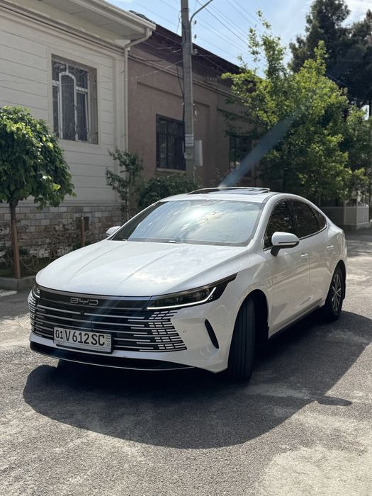 Other Chazor 2024 — 2