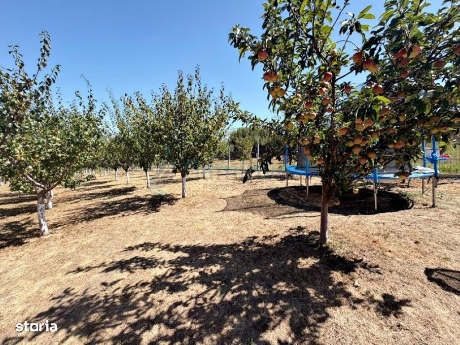 Proprietate turistica de vanzare langa Baile Felix, BH,Gaminvest,V4729