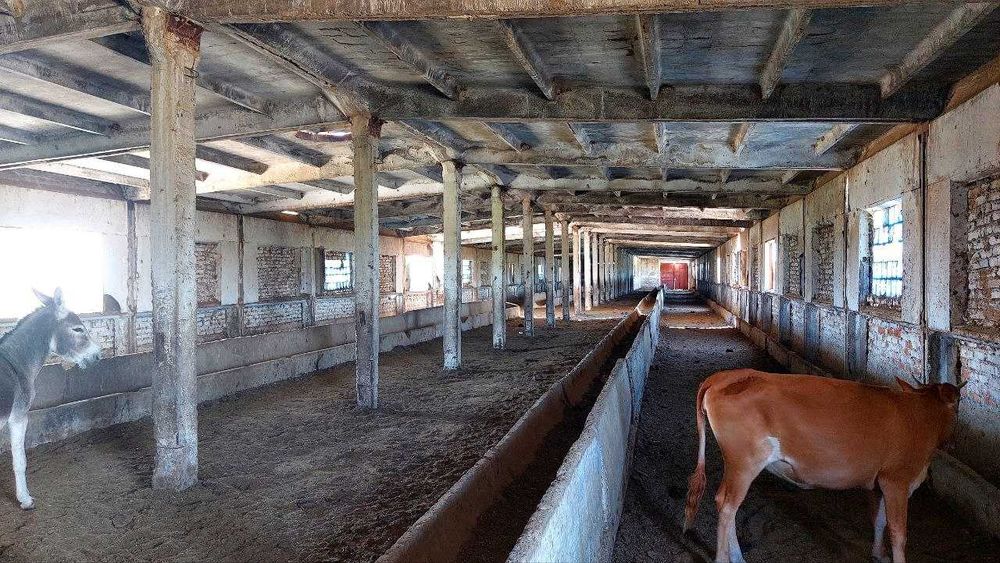 "Molxona va boshqa bino inshoatlari "