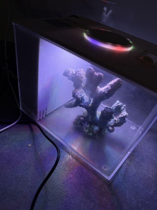 Vand acvariu pesti echipat complet 3l