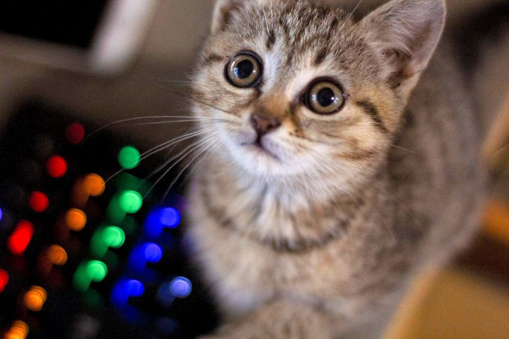 Малышка Феодосия ,ей 3,5 месяца