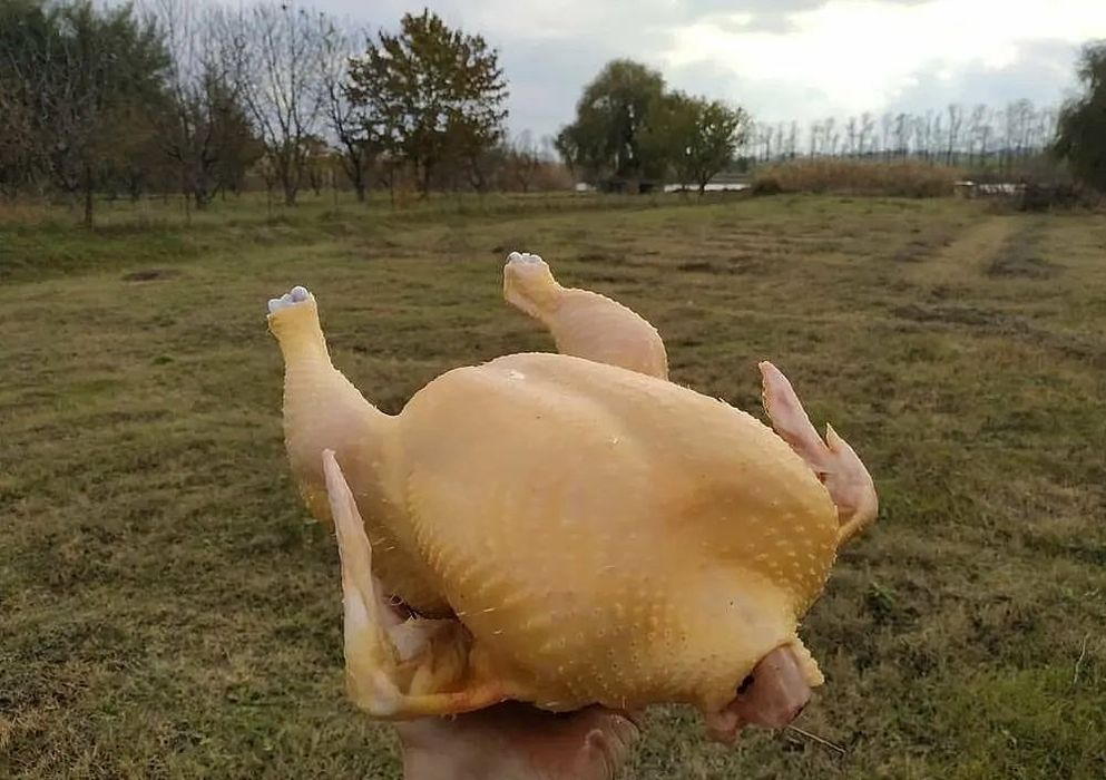 Мясо бройлера и индеек