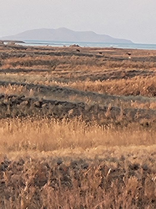 Продам или обмен