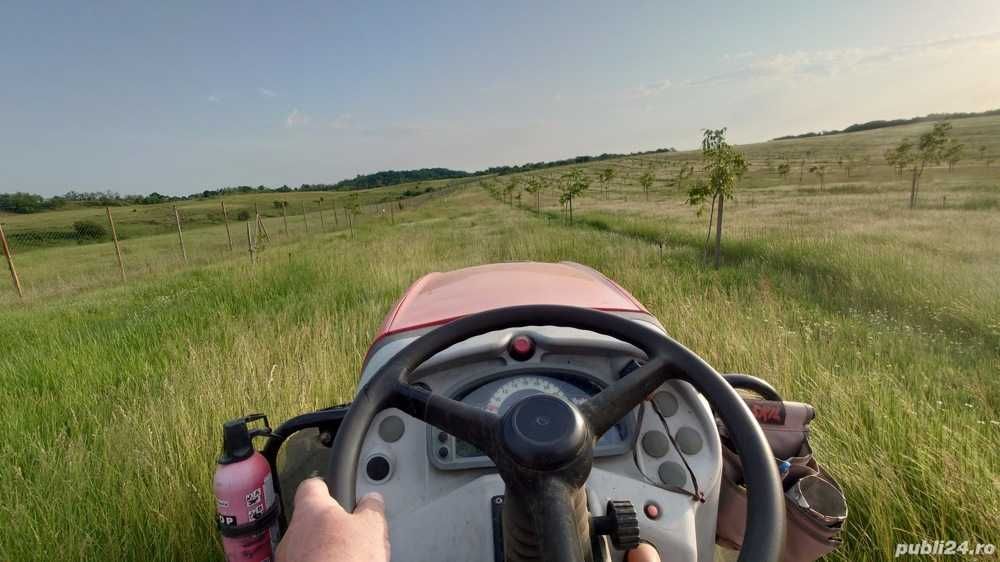 Livadă nuc 6,7 Ha  an 7, soiuri altoi valoroase, irigație, gard, anexe