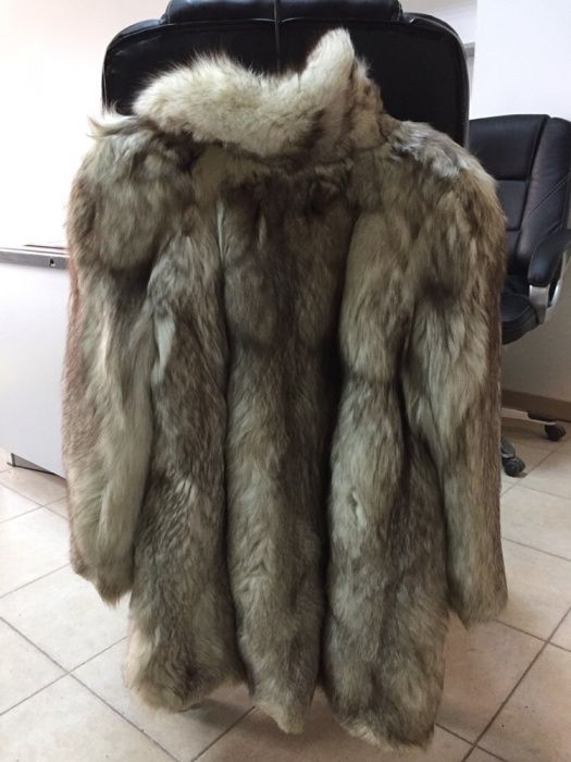 Haina vulpe polara argintie