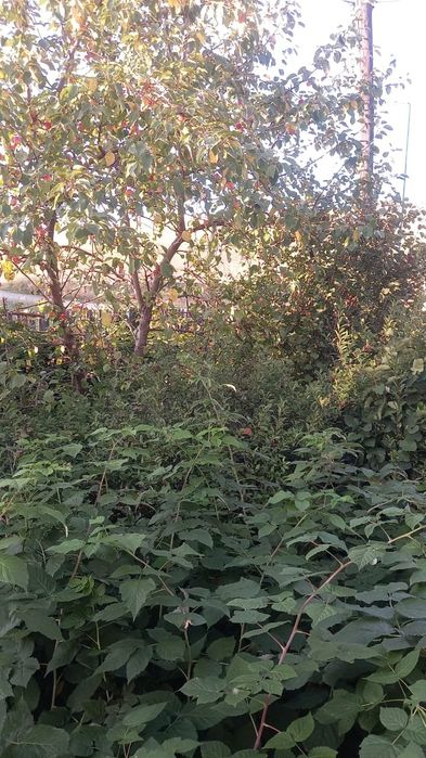 Продам кирпичный дом