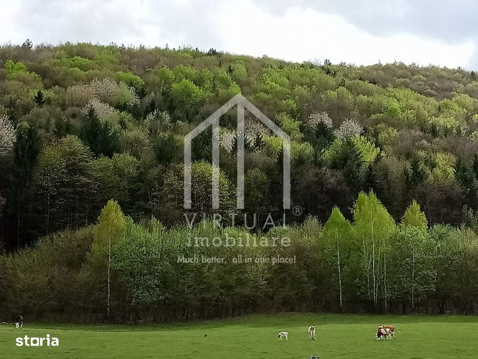 Teren intravilan de vanzare in Tocile, 3862 mp, priveliste spre padure