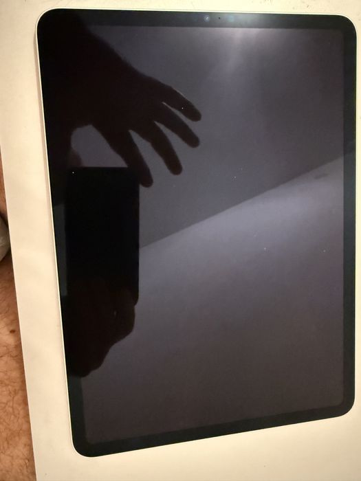 Ipad Pro 11 Gen 4 256Gb