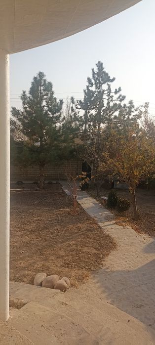 Yangi Uzbekistan,  rabad