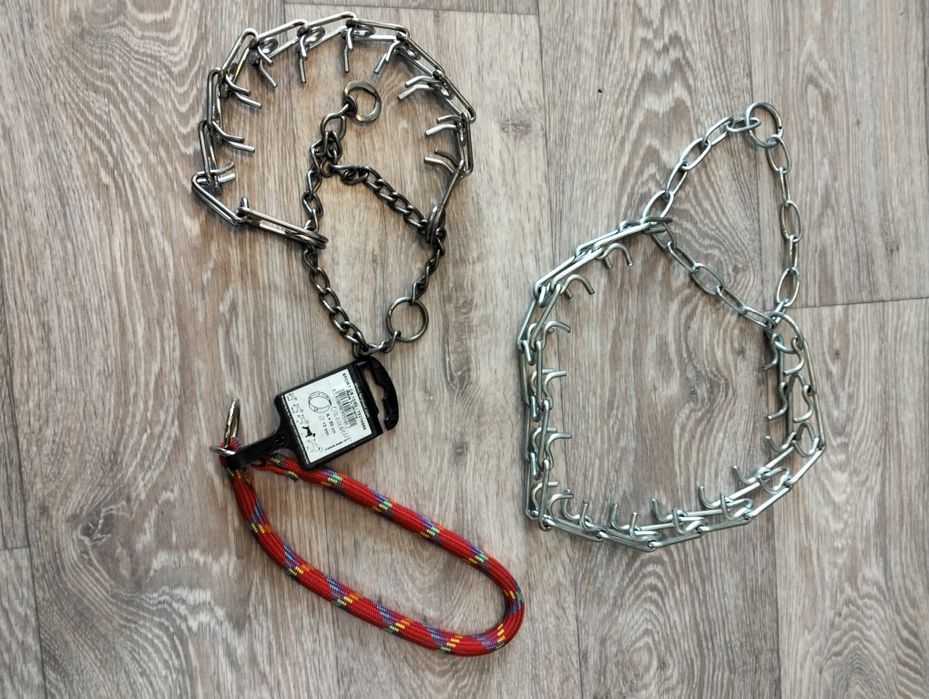 Ошейники для собак