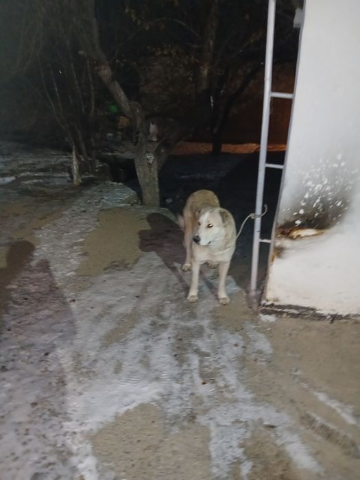 Срочно продам цена 45 000