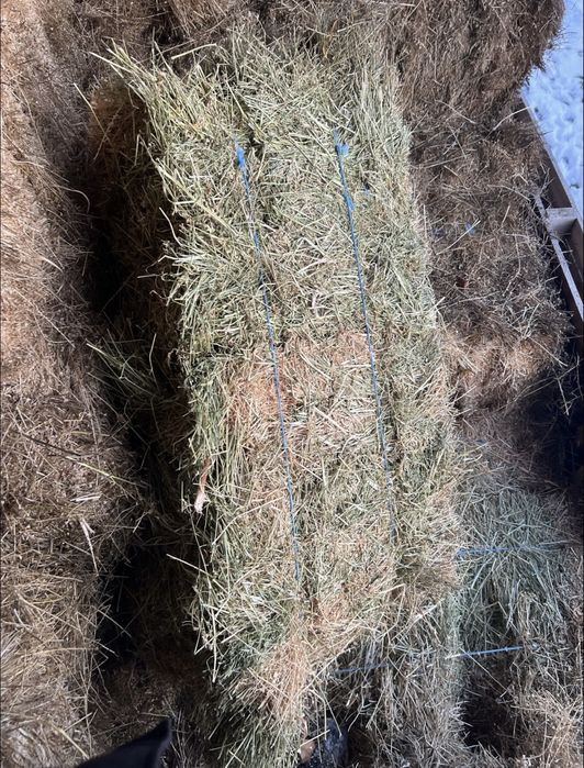 Baloti lucerna, fan, paie