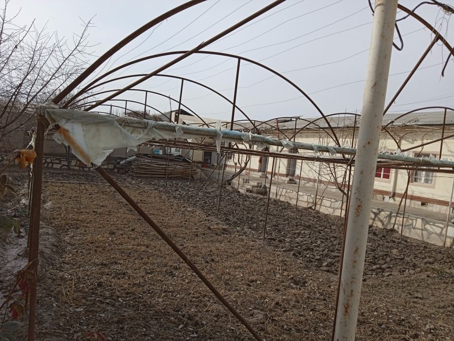 Иссикхона сотилади