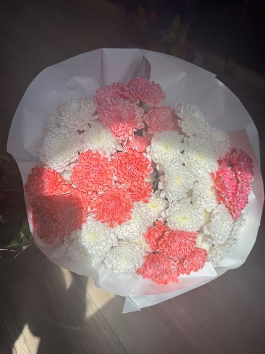 продам цветы Астана