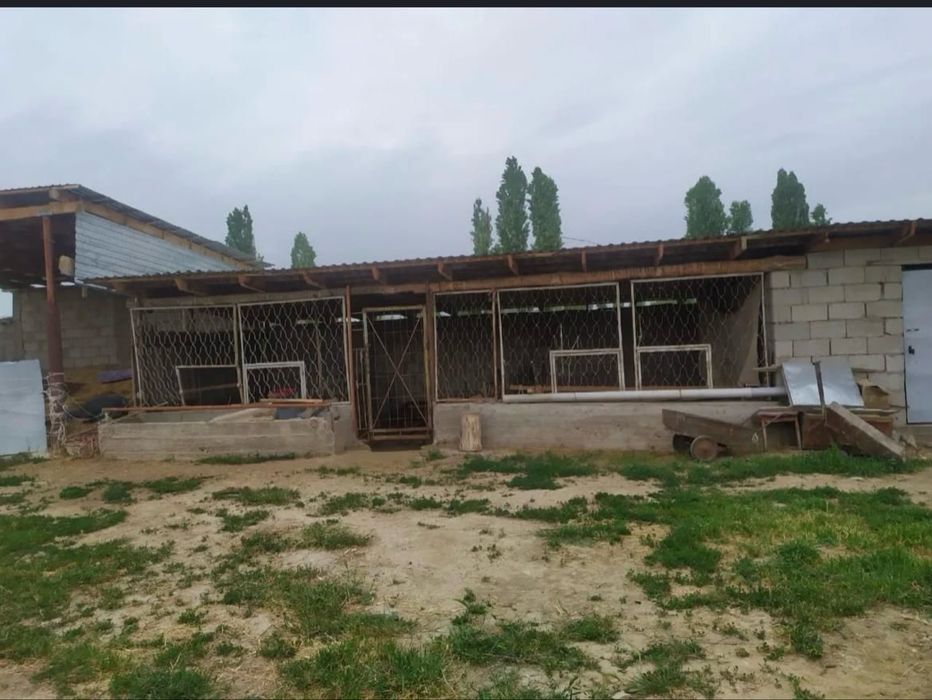 Продается дом в Айшабиби