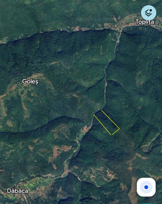 Pădure de fag ,5 hectare