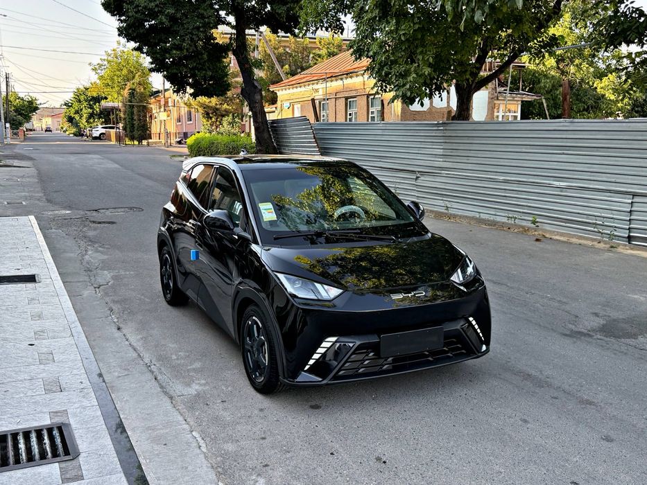 BYD Segull 405Km 2024 Full Позиция 99% Топтоза Состаяние Зор