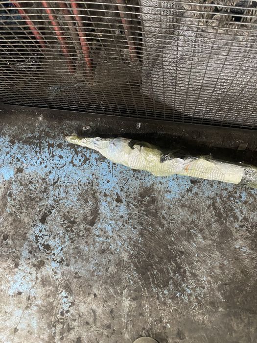 Рулевой рейка камри 35 30