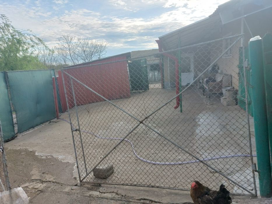 Casa in Miorita, Ciobanu, de vazut