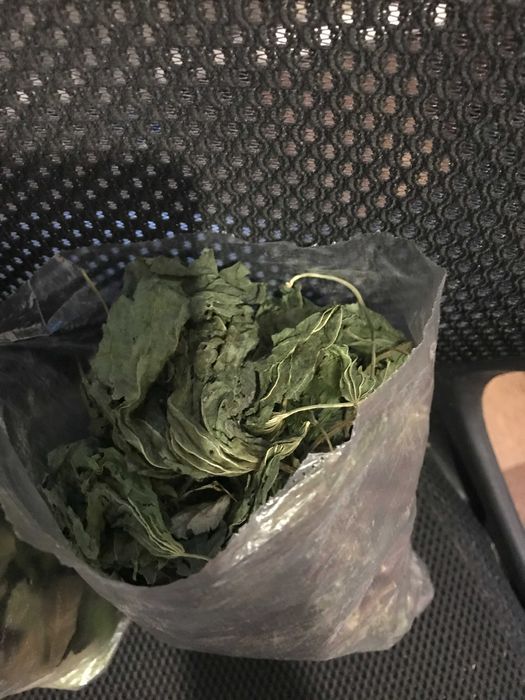 Листья   крапивы и ежемалины, сушеные.