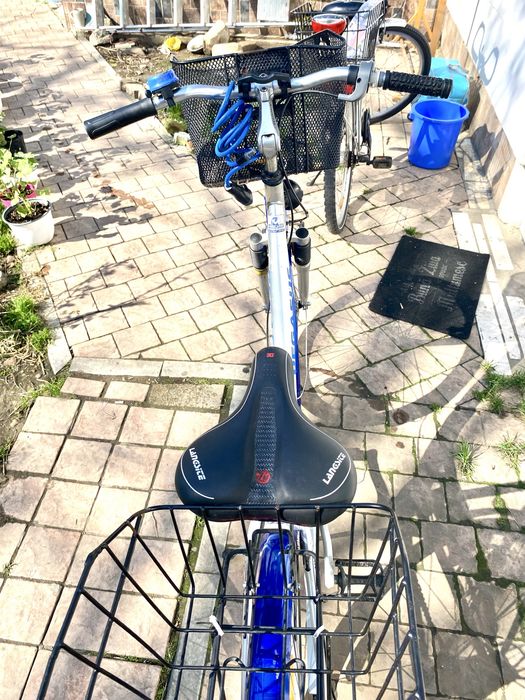 Bicicleta de dama