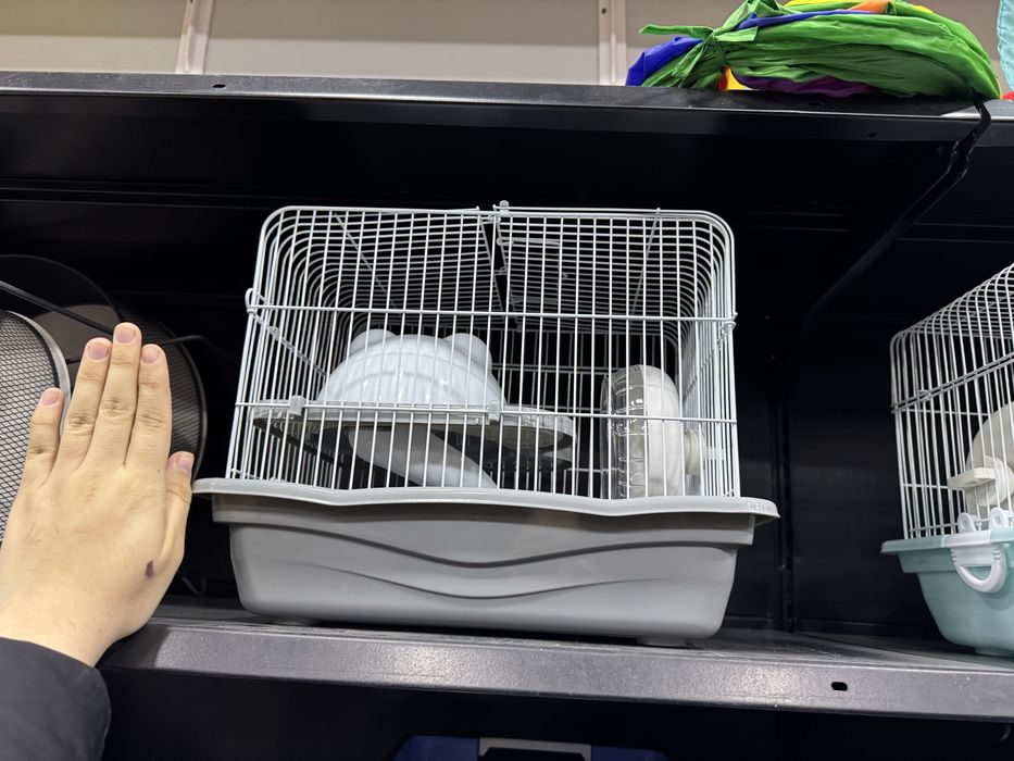 Продается хомяк (4 месяца)