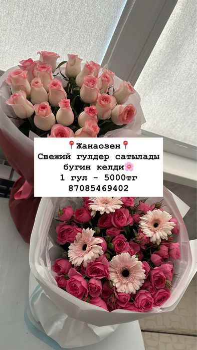Цветы жанаозен гулдер