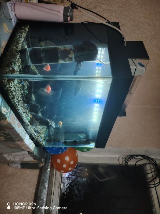 Akvarium holati yangi, ideal.