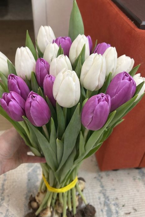 Тюльпан по 600 тг