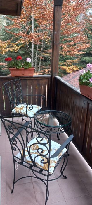 Маси и столове от ковано желязо. Градински мебели.