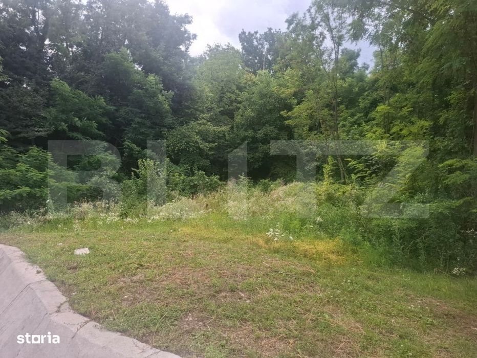 Teren intravilan, 2306 mp, zona Teis