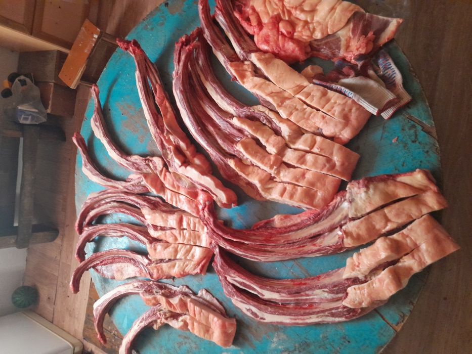 Касапшылык!жылкы сиыр малдары.