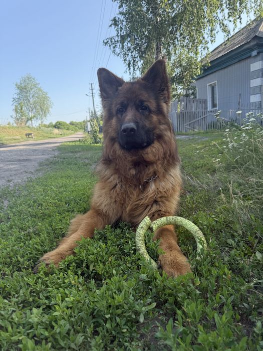 Предлагается к вязке