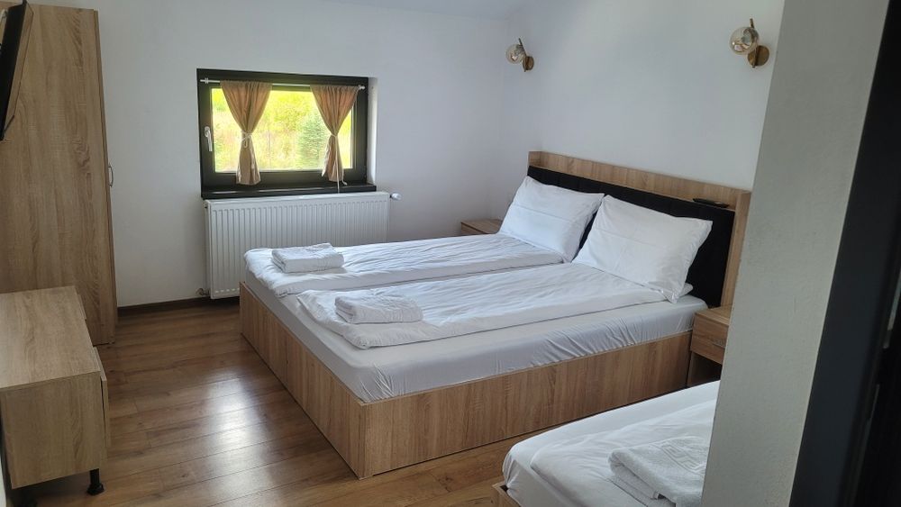 Cabană de inchiriat Valea Avrigului 7 camere  cu băi proprii