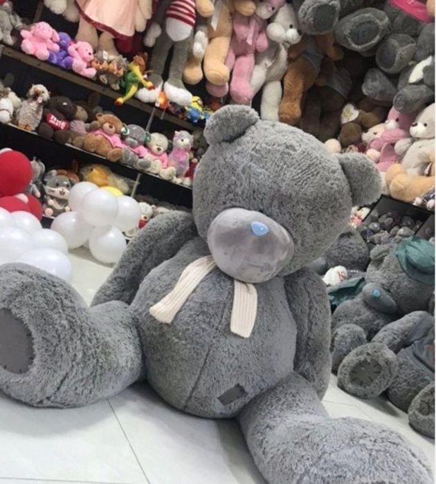 Teddy Stich Lyutsafer
