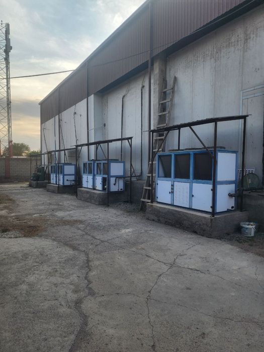 Холодильные камеры на 800 тонн